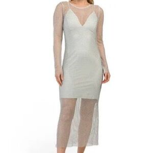 Elegant Sheer Silver Dress